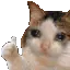 sadcatgun