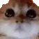 Ragey Ragey