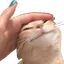 catPat