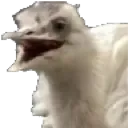 KevinAttack