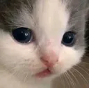 EmWhat EmWhat