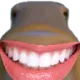 feshgrin