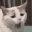 yawncat
