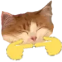 missbshy