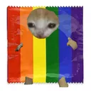 funnycats Discord Emoji