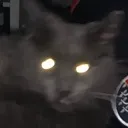 wthbro