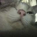 mrchooby Discord emoji