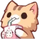 FF_cat_sip