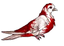 Bloodyarchimedes