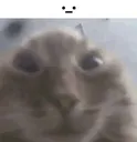 __
