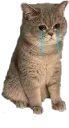 Sad_Max
