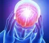 bigbrain