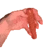 HotDogSpin