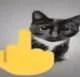 fuckyoy
