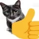 unfuckyoy