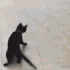 xx_gifcatjumping Discord emoji