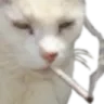 smok