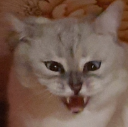 angrymartin