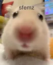 sfemzito