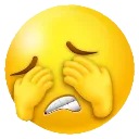 emoji_29