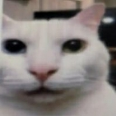 CatSurprised_Dw Discord emoji