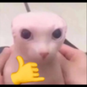 GatoLike_Dw Discord emoji