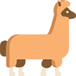 alpaca
