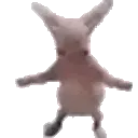 binguspls