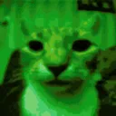 greencat greencat