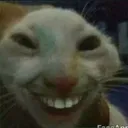 hehehehe