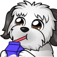 SIP SIP
