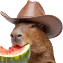 CappyWatermelon