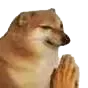 doge_pray