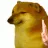 DogPray DogPray