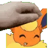 flarepet