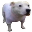 huh