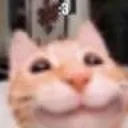 3_
