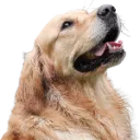 bluepng1 Discord Emoji