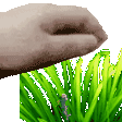 pasto Discord emoji