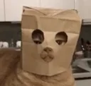 catmask