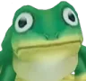 frog_stare