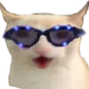 CatChest