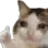 sadok sadok