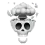 ronnieSkull