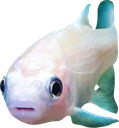 BetaEMoji Discord emoji