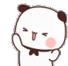 zzz_PANDAyayHE