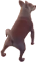 3625dogtwerk