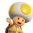 _TOAD_HEY