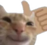 Catlike Catlike