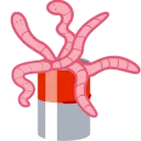 can_of_worms
